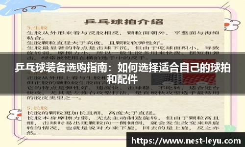 乒乓球装备选购指南:如何选择适合自己的球拍和配件